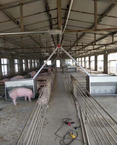 养猪设备猪食槽猪场料线自动喂料器批发