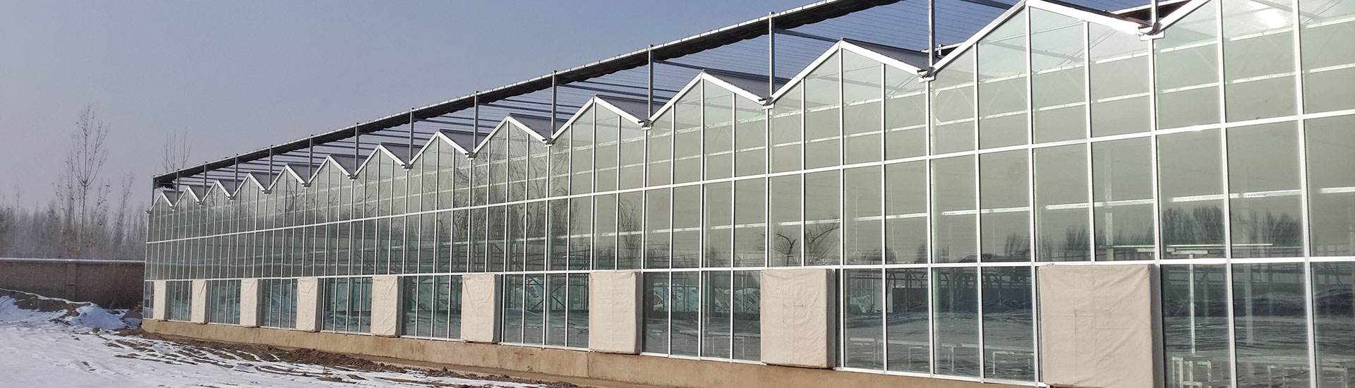 四周玻璃顶部阳光板温室的图片山东潍坊建达温室材料公司图片