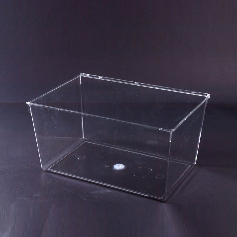 淘裕实业PET平底盒 果盒散装小散食品盒 长方形大果品有盖方形盒