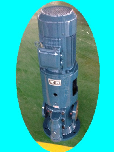 立式螺杆泵SNS120R54U12.1W21