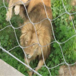 宁夏动物园专用狮子笼舍不锈钢手工 狮子笼舍不锈钢绳网