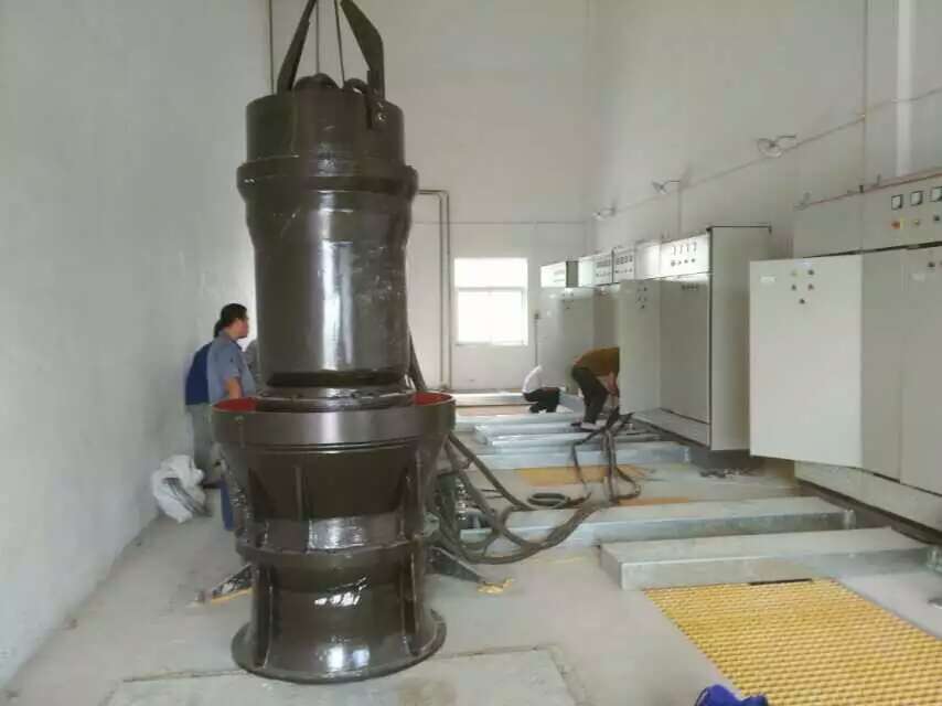 700QZB大型轴流泵的日常维护和保养