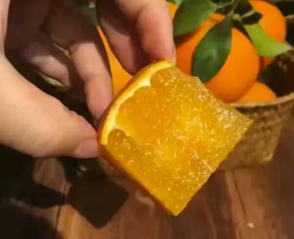 果冻橙可以吸的果冻橙苗批发果冻橙种植技术
