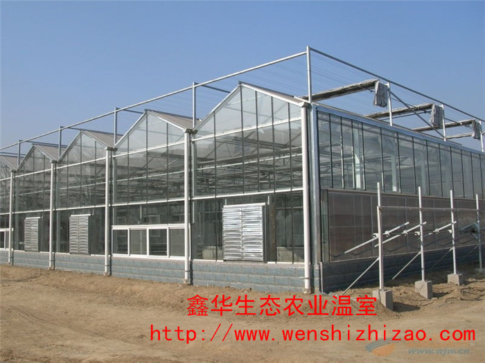 连栋温室建造|连栋玻璃温室|连栋温室报价