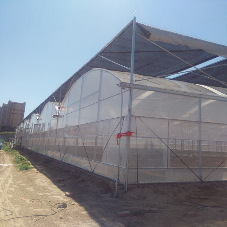 供应薄膜温室大棚【WD8430A】  蔬菜大棚  种植大棚  大棚骨架 大棚设施图片