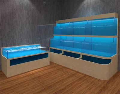 广州洋清水族出租海洋生物活动展览 海狮互动表演  鱼缸水母租赁图片