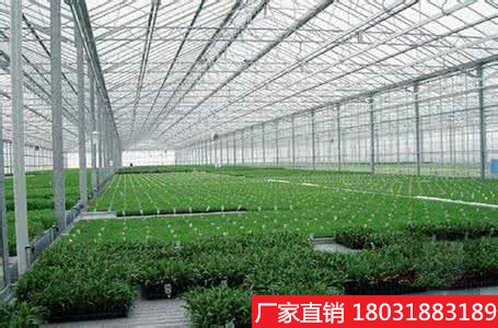 广州玻璃钢阳光板安装及使用方法    玻璃钢阳光板图片