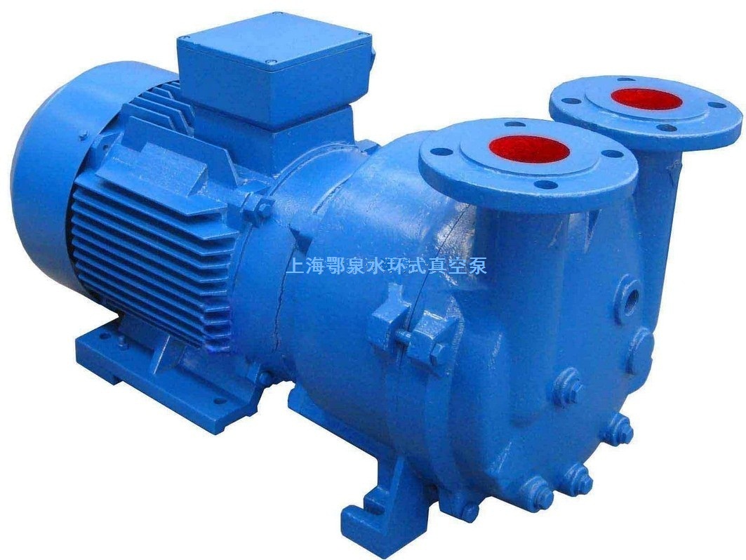 SKA2060直联水环式真空泵，水环式真空泵，SKA型水环式真空泵
