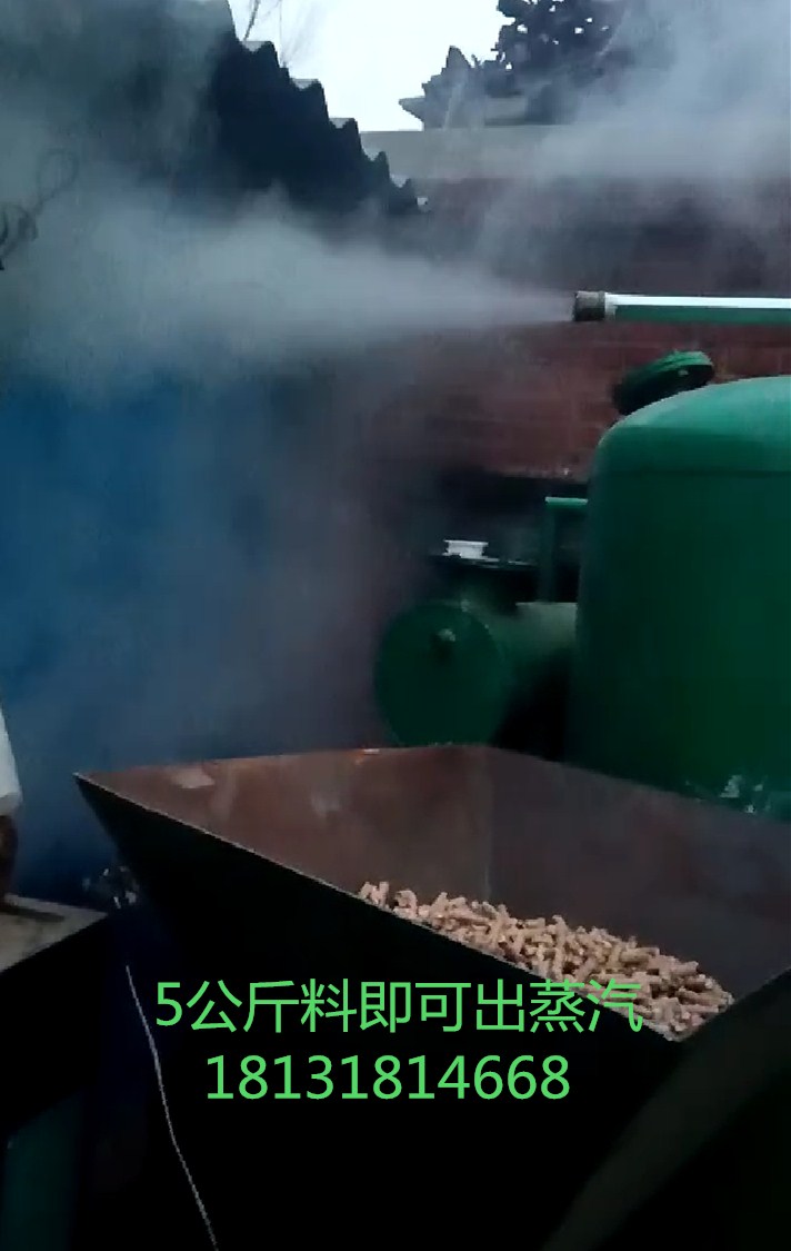 豆腐专用生物质颗粒蒸汽锅炉 豆腐生物质颗粒蒸汽锅炉