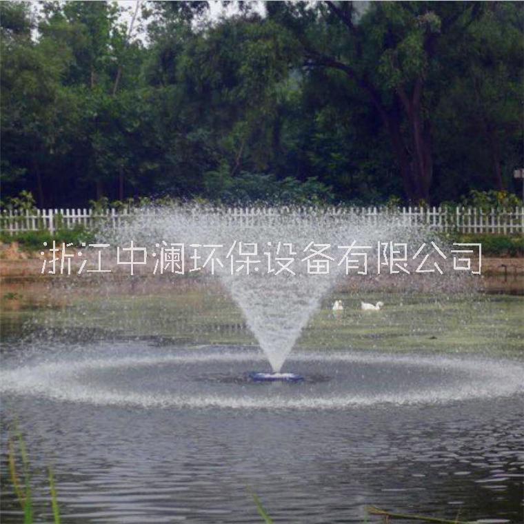 中澜ZL-FTA 浮水式喷泉曝气机 河道曝气机设备图片