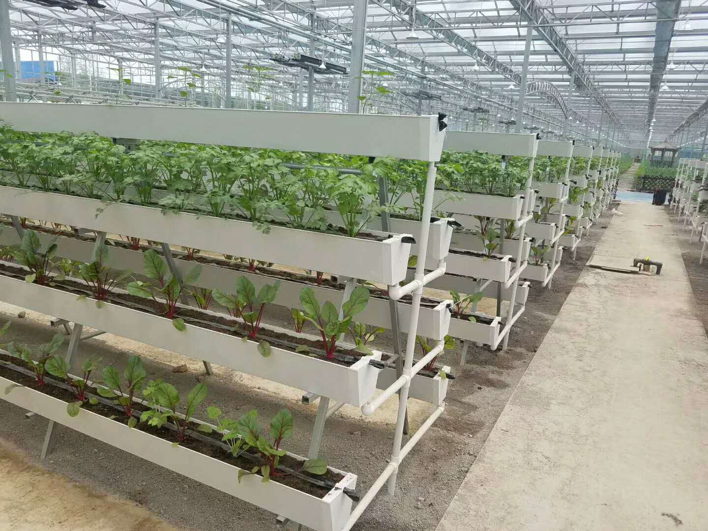 济宁市无土栽培槽蔬菜种植槽草莓种植厂家