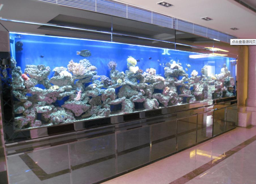 广州鱼缸品牌，鱼缸设计，鱼缸订做，鱼缸定制