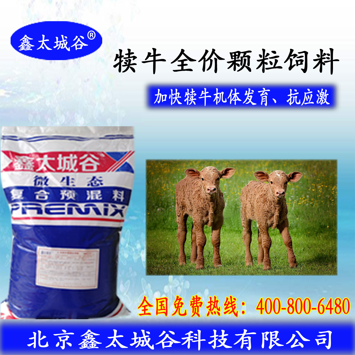北京鑫太城谷微生态型开张骨架的犊牛颗粒料图片