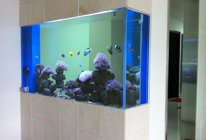 广州鱼缸设计、越秀区鱼缸造景、光塔上门定制鱼缸