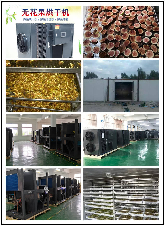 广州惠特高科无花果热泵烘干机  农产品干燥设备介绍图片