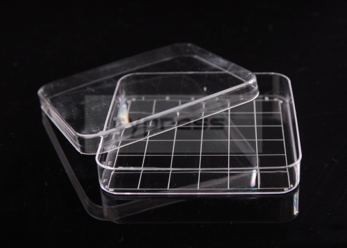 一次性方形塑料培养皿批发