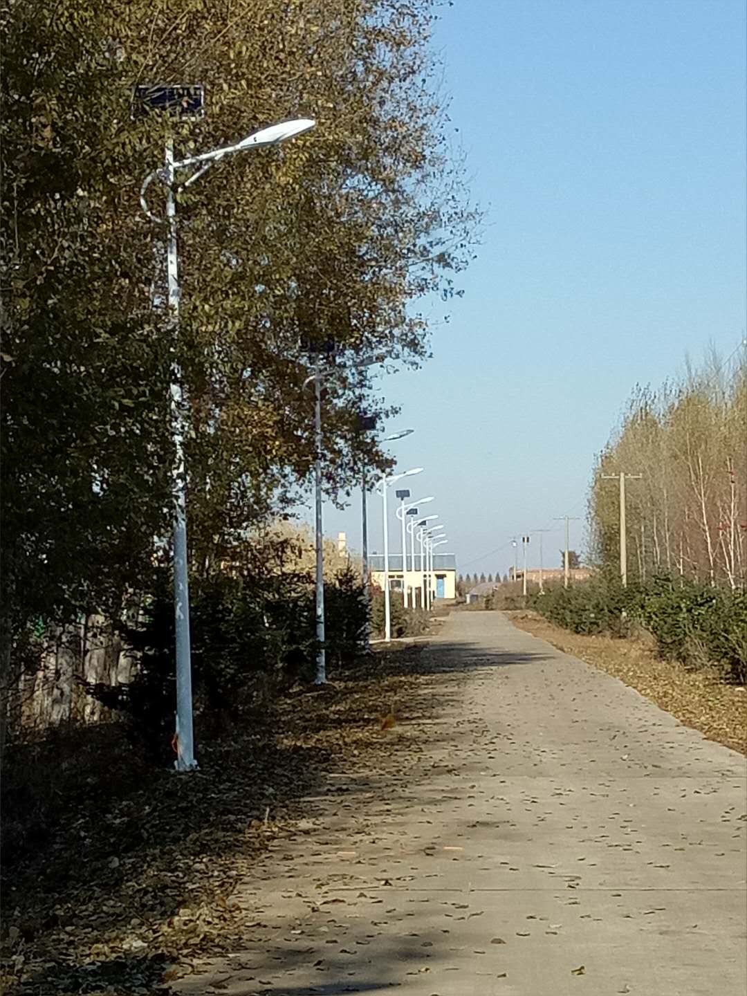 哈尔滨太阳能路灯6米15瓦-哈尔滨扶贫项目适用太阳能路灯-太阳能农村路灯