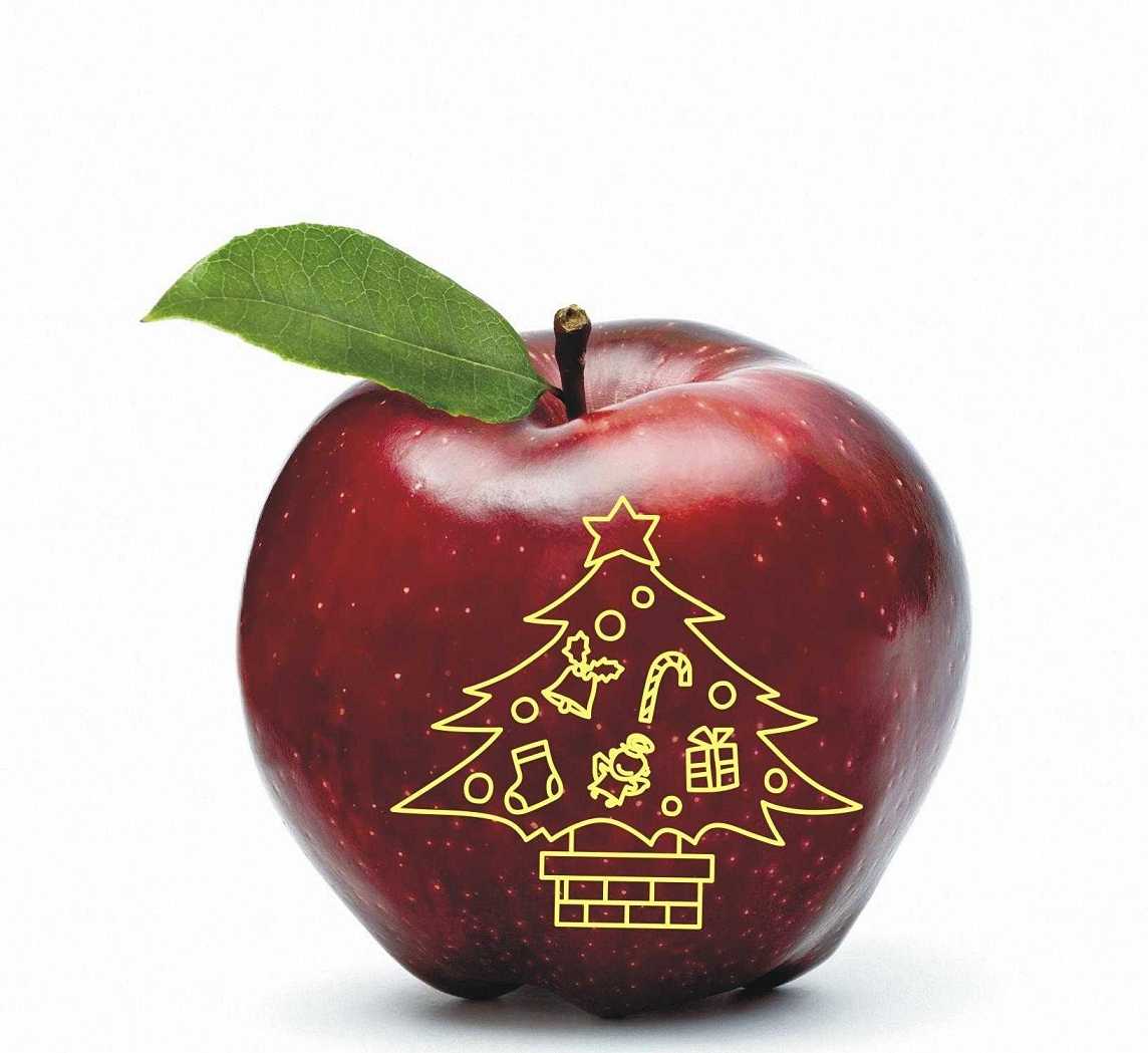 陕西西安苹果印字机 小型手动苹果印字机 自动水果印字机厂家直销图片