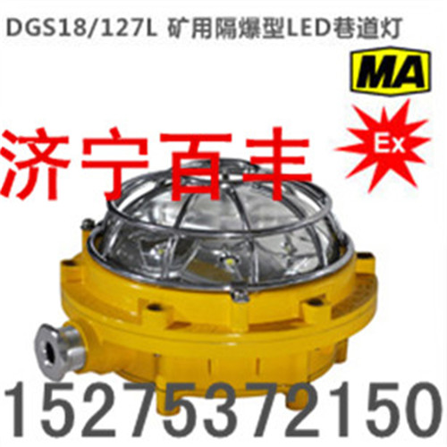 DGS40/127L(A)矿用隔爆LED巷道灯DGS40L矿用隔爆巷道灯图片