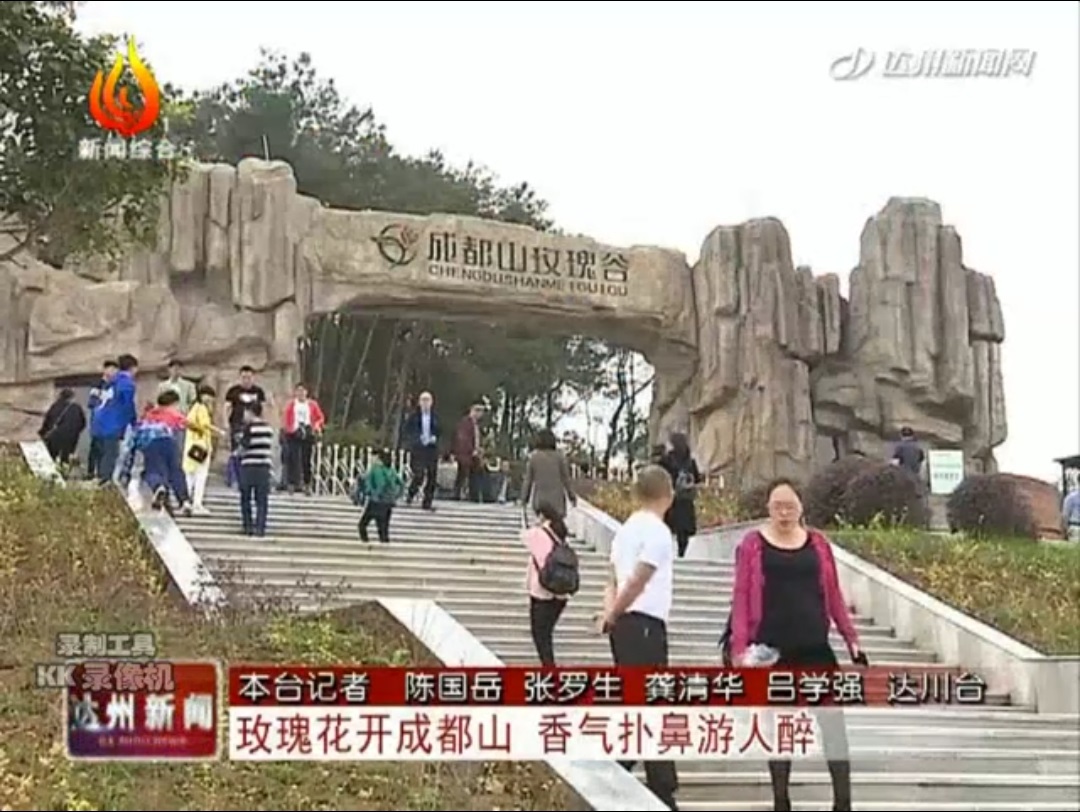 重庆水泥塑石假山景观设计施工批发