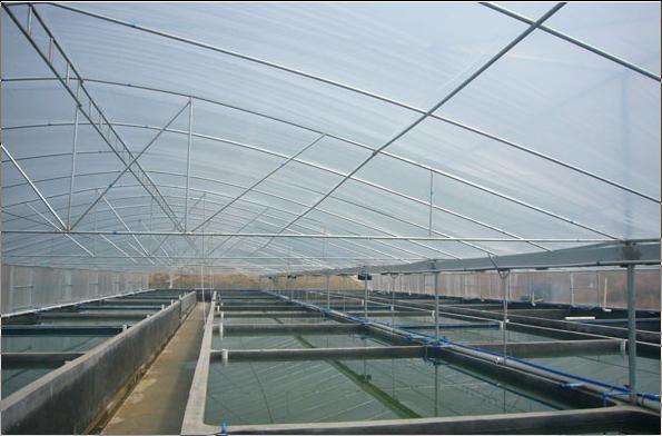 水产养殖温室 养殖温室 农业温室 大跨度温室