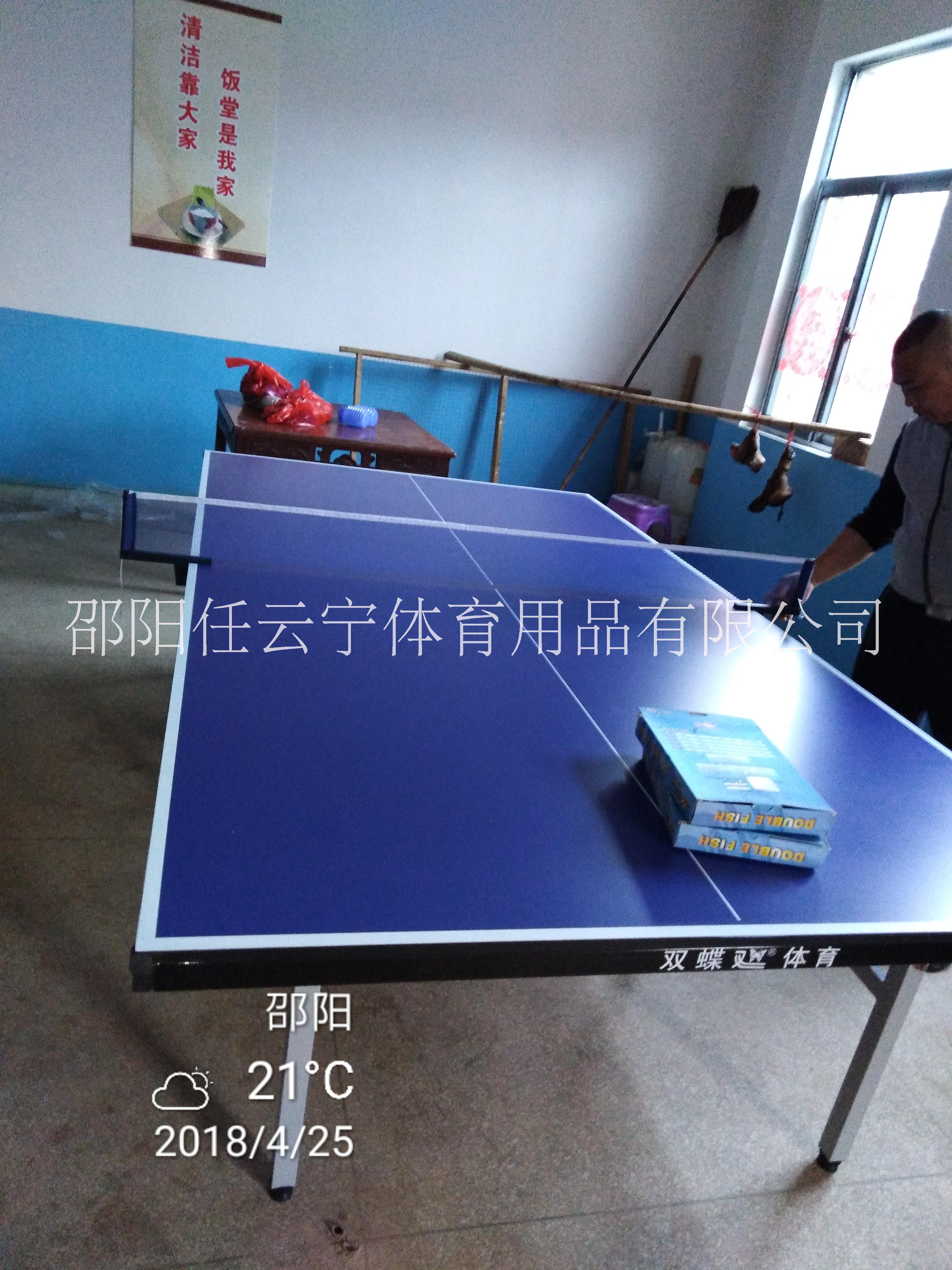 乒乓球桌邵阳乒乓球台邵阳室内乒乓球桌可收纳乒乓球桌