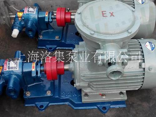 上海洛集TCB防爆齿轮油泵不锈钢 防爆大流量 规格齐全厂家直销