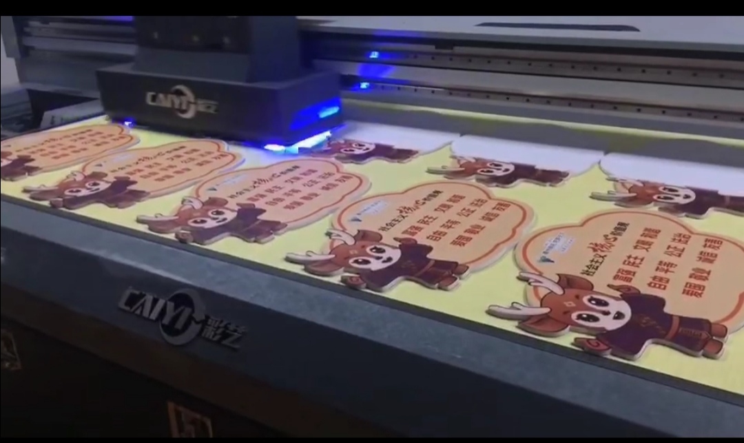南京市彩艺理光G6平板打印机厂家彩艺理光G6平板打印机