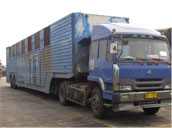 桂林到上海物流专线 桂林到上海货物运输 桂林到上海物流公司图片