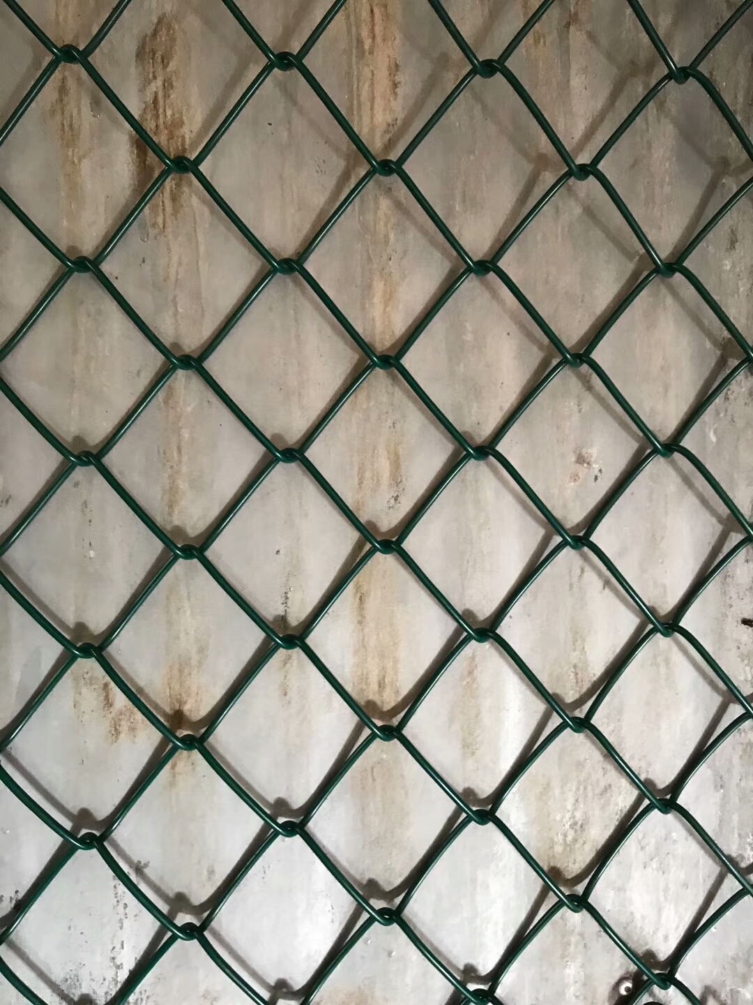 菱形钢丝网pvc包塑钢丝网pe图片