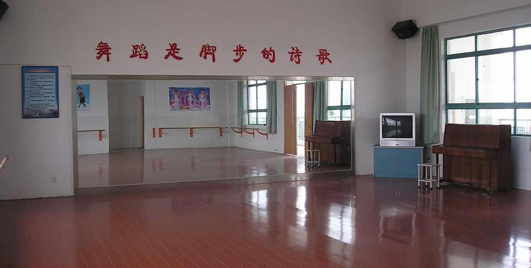 沈阳舞蹈地板 舞蹈室用pvc地板  生产舞蹈地板 pvc塑胶地板