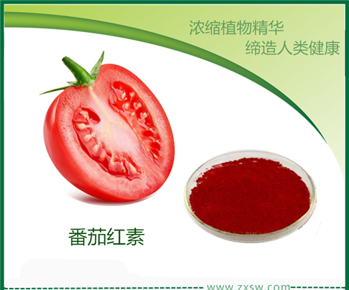 番茄红素 番茄培养发酵番茄红素5%-10% 陕西中鑫生物