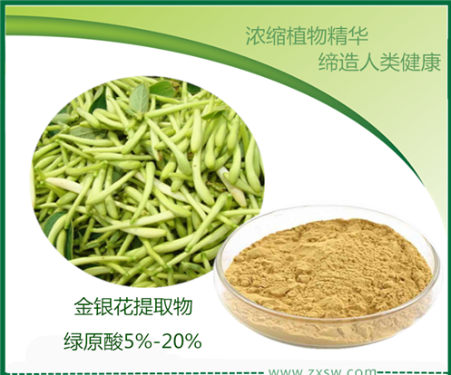 绿原酸5%-10% 金银花提取物杜仲提取物 陕西中鑫生物