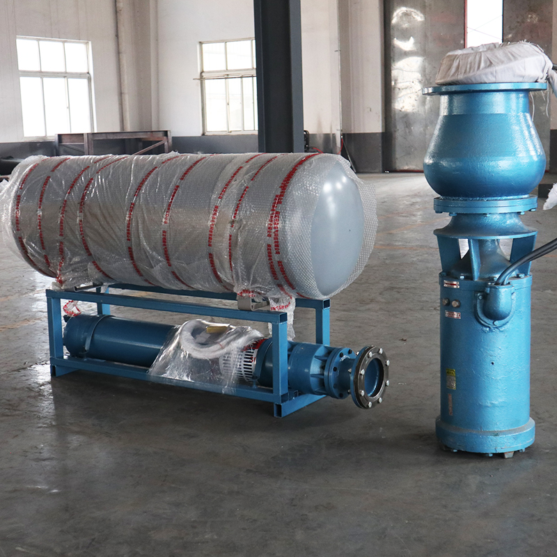 深圳QSZ300中吸式轴流泵生产
