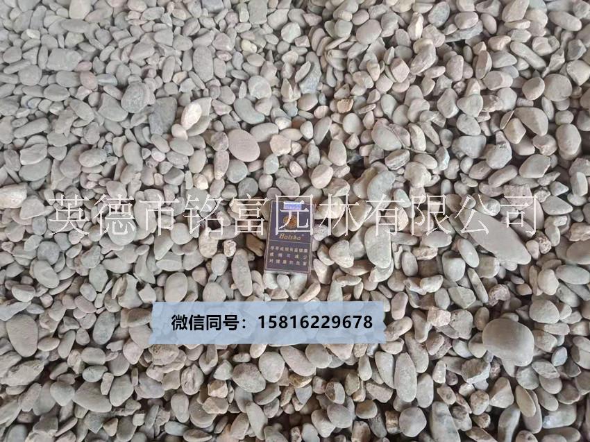 广东鹅卵石 园林建筑鹅卵石 广东哪里有鹅卵石卖 铺路装饰鹅卵石