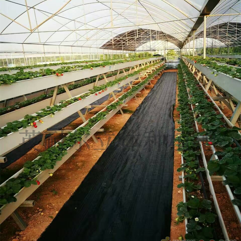 立体式草莓架 草莓种植槽 蔬菜水培槽 英耐尔品牌图片
