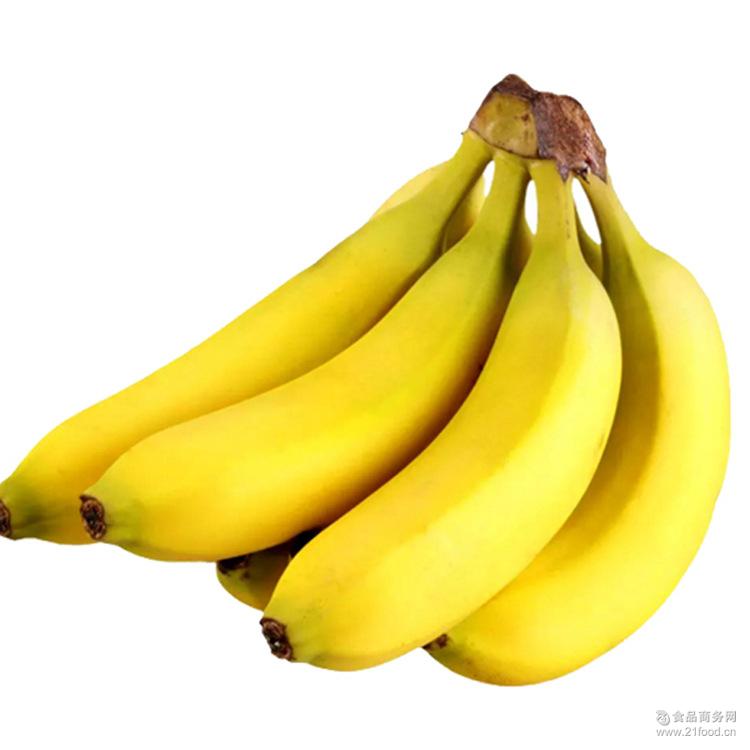海南香蕉 种植基地  批发 价格