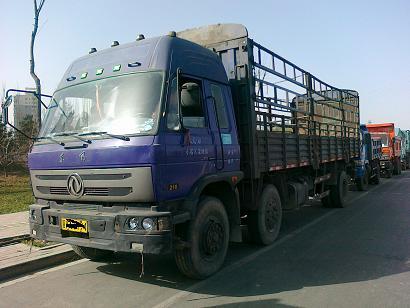 宁波到杭州物流专线  轿车托运 直达货运