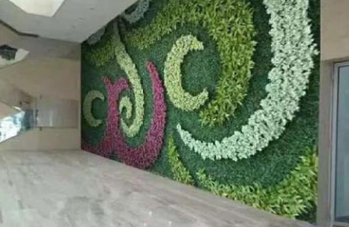 立体植物墙配送 立体植物墙常年供应