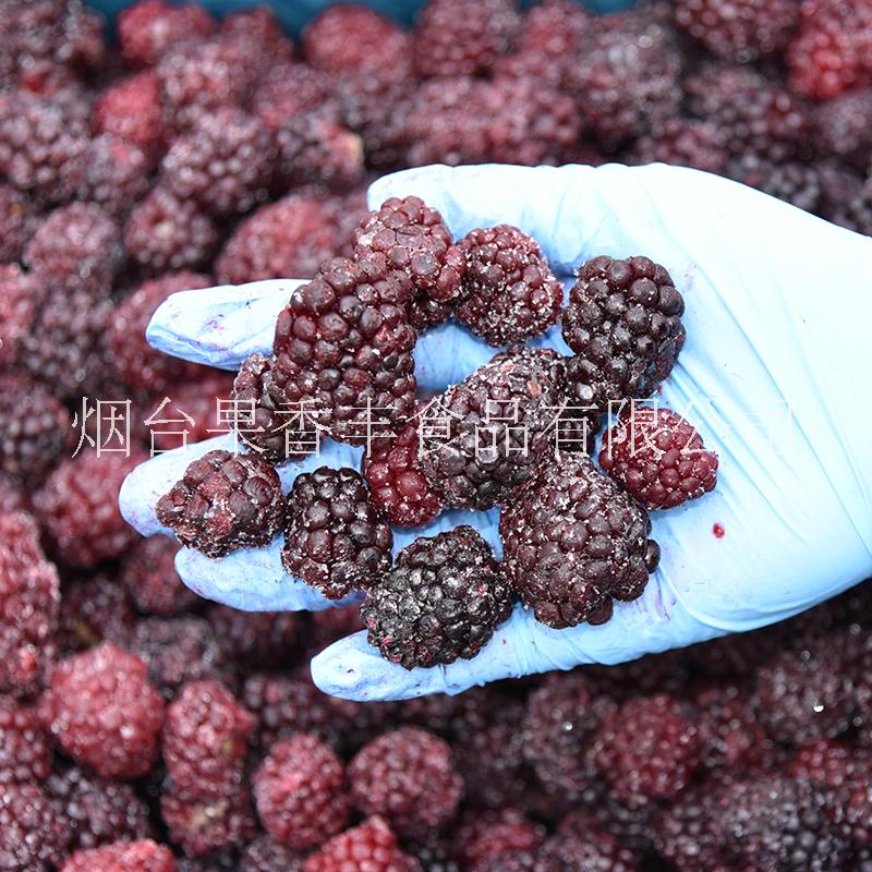 加工批发冷冻黑树莓覆盆子速冻水果浆果