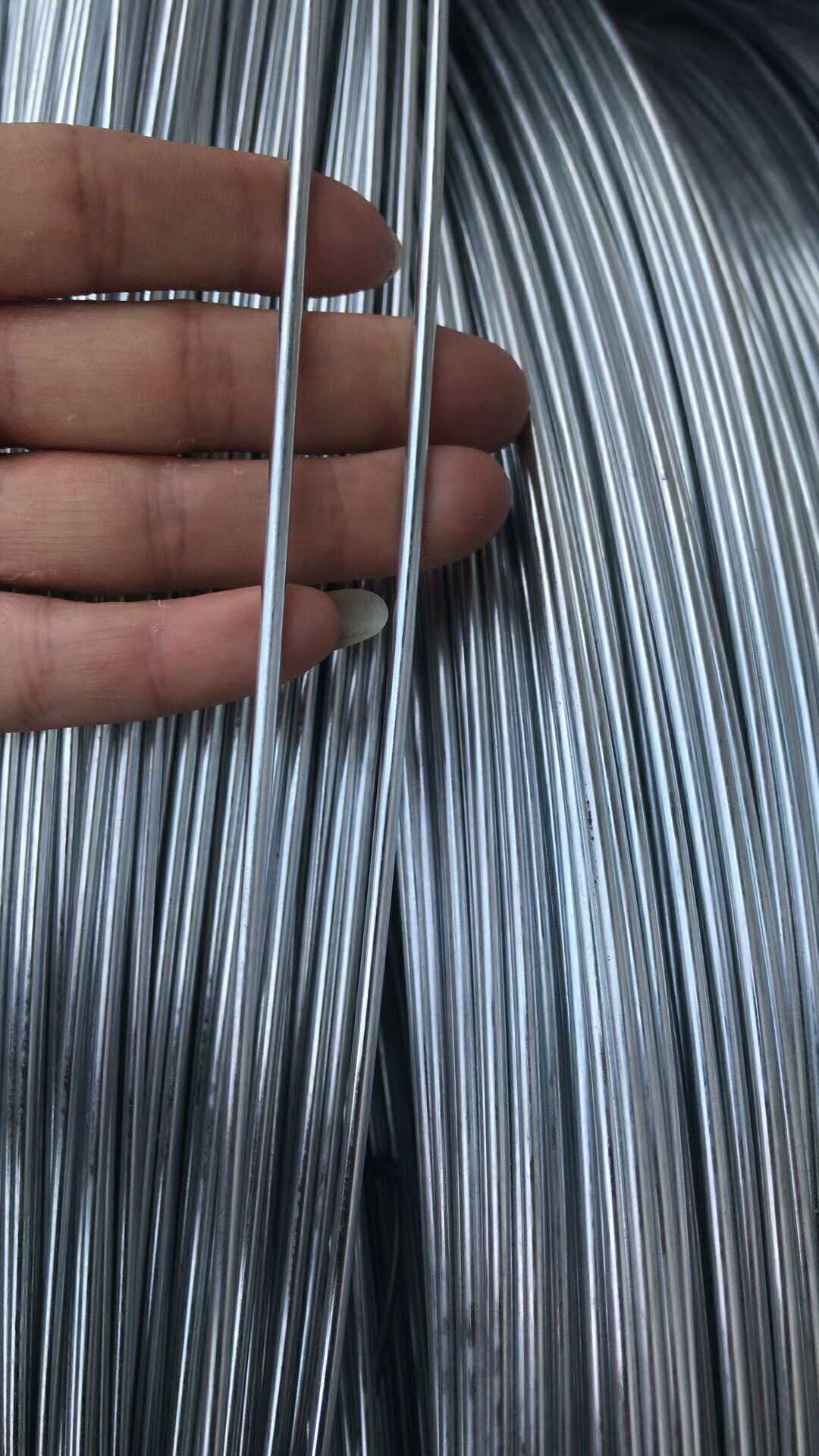 衡水 铝绞线批发价格，钢芯铝绞线供应商