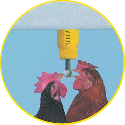 驻马店市饮水器厂家鸡只专用饮水器 360度饮水 钢柱乳头
