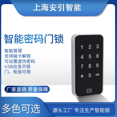 上海厂家直销更衣柜子密码磁卡锁 柜锁通用各种芯片一卡通