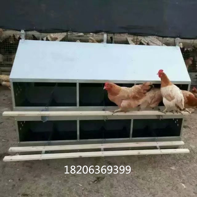 潍坊市鸡专用的产蛋箱厂家