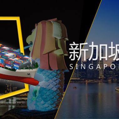 广州到新加坡海运双清到门专线 散货拼箱 整柜托运 新加坡航线海运货物运输服务电话