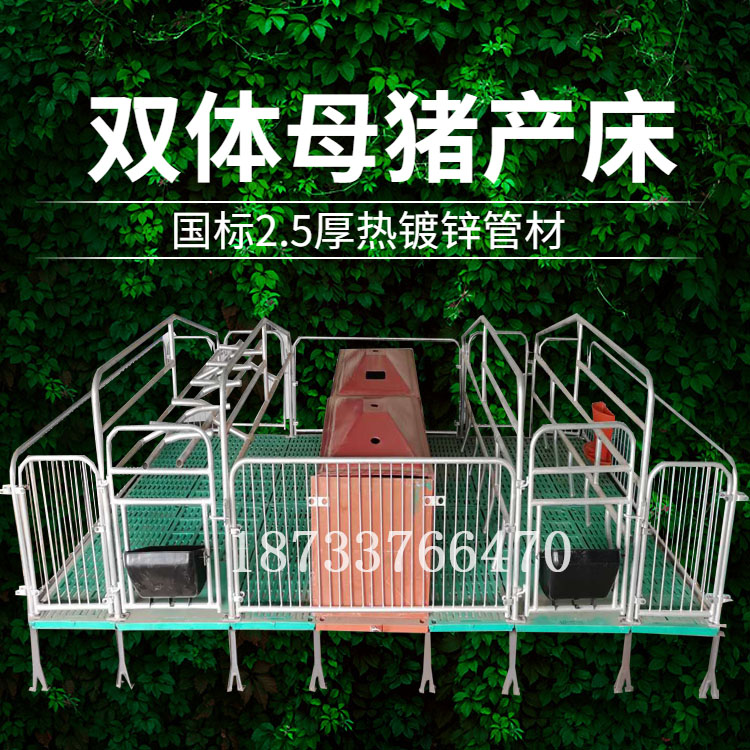 猪用母猪产床复合板双体母猪产床定位栏保育床养猪设备