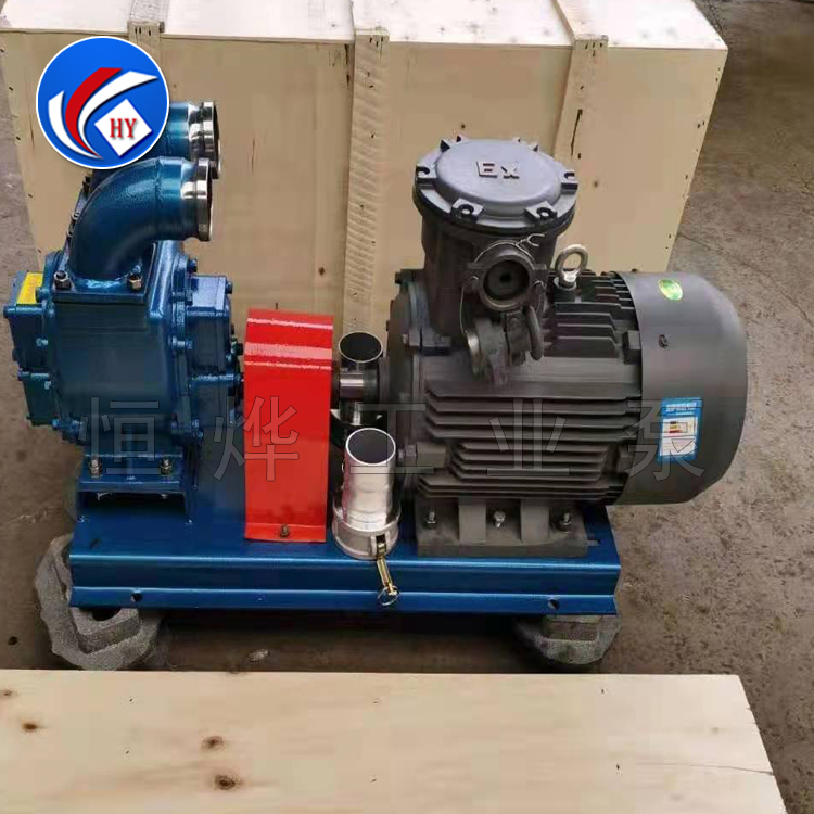 YHCB高温齿轮泵 圆弧齿轮泵 防爆齿轮泵