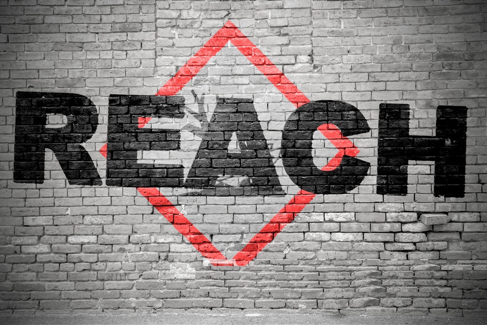 东莞市REACH认证224项报告厂家REACH认证224项报告 REACH报告检测项目的