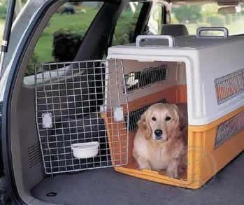 宁波至南京宠物空运  宠物狗运输 宠物专车配送公司   宁波到南京宠物快运
