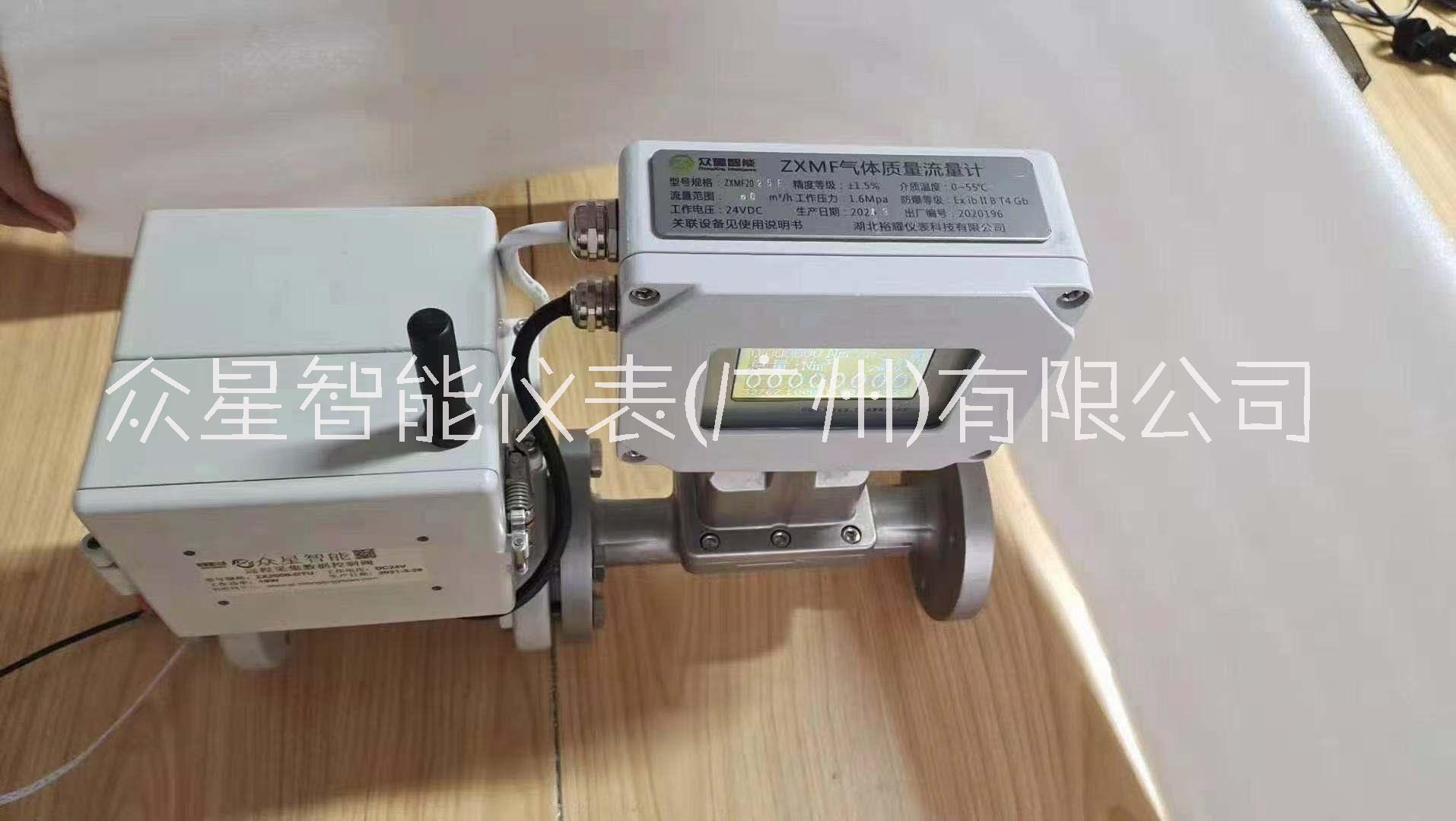 气体流量计厂家报价、广州气体流量计公司电话图片